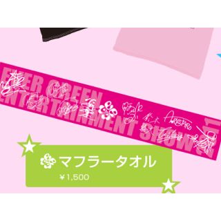 エバーグリーン(EVERGREEN)の即購入OK❤︎マフラータオル エバグリ ファンミ 2011 サイン(ミュージシャン)