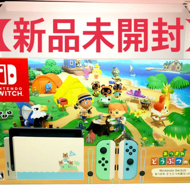 Nintendo Switch どうぶつの森セットエンタメ/ホビー