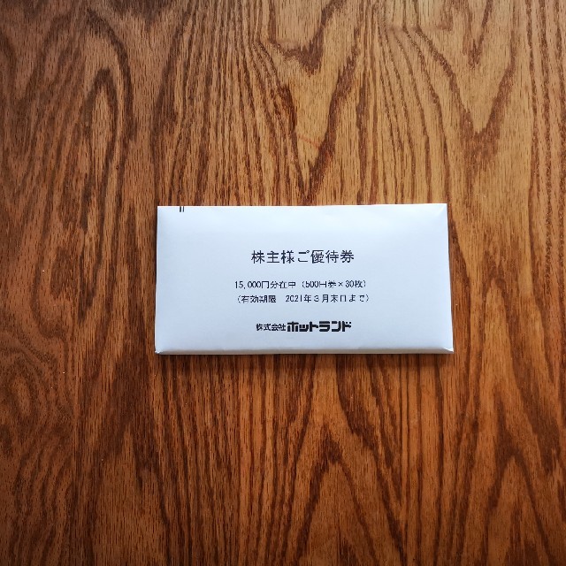 ホットランド 株主優待券 15000円分 築地銀だこ