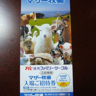 マザー牧場 入場ご招待券２枚セット 　有効期限：2021年1月5日(遊園地/テーマパーク)
