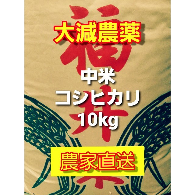 千葉県産 令和5年コシヒカリ10kg精米 減農薬栽培