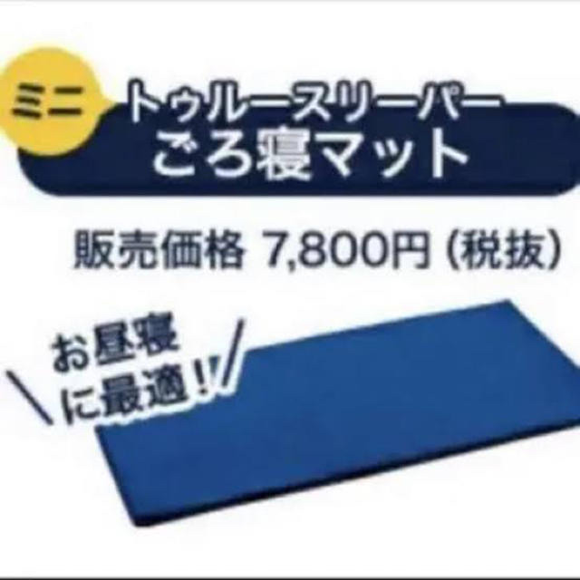 ちーさま専用　ミニトゥルースリーパー　2枚セット