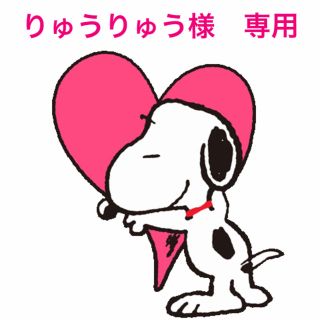 りゅうりゅう様　専用(犬)