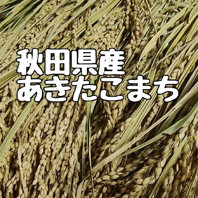 新米秋田県産あきたこまち玄米25キロ減農薬 食品/飲料/酒の食品(米/穀物)の商品写真