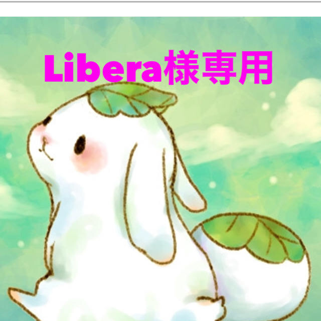 Libera様専用 キッズ/ベビー/マタニティのこども用バッグ(リュックサック)の商品写真