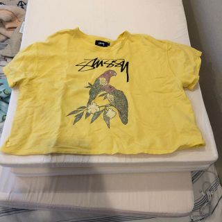 ステューシー(STUSSY)のTシャツ(Tシャツ(半袖/袖なし))