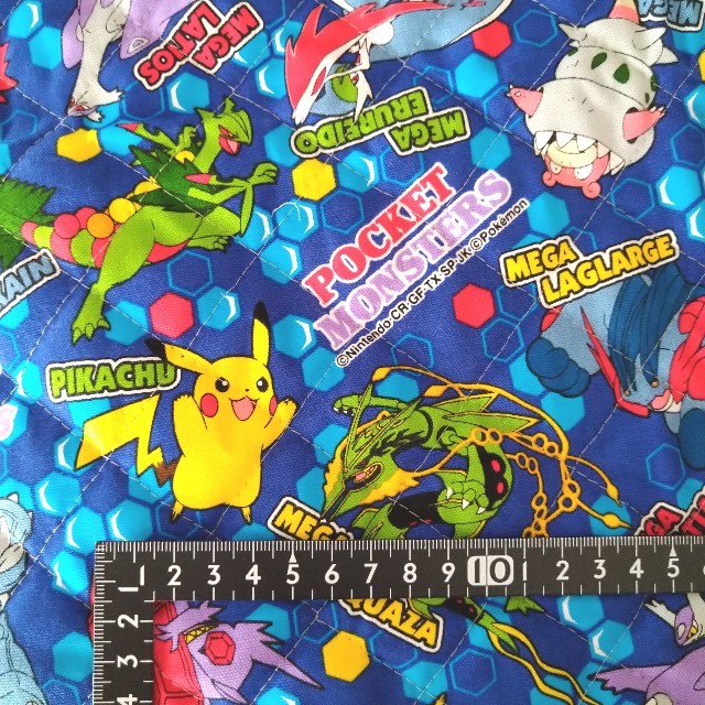 ポケモン お値下げ セール ポケットモンスター キルト生地 キルティング の通販 By ねずちゃんハムスター S Shop ポケモンならラクマ ポケモン お値下げ セール ポケットモンスター キルト生地 キルティング の通販 By ねずちゃんハムスター S Shop ポケモンならラクマ