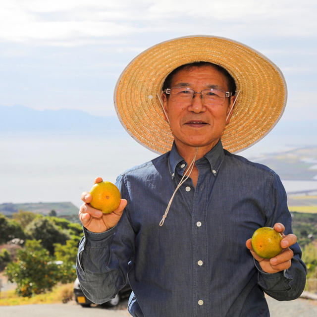 勝春おじいちゃんの美味しいみかん🍊　ひのあかり5kg  食品/飲料/酒の食品(フルーツ)の商品写真