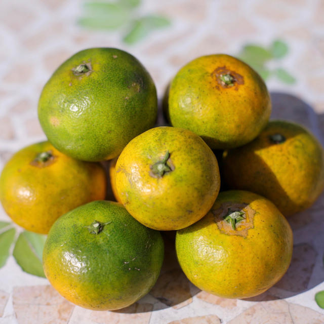 勝春おじいちゃんの美味しいみかん🍊　ひのあかり5kg  食品/飲料/酒の食品(フルーツ)の商品写真