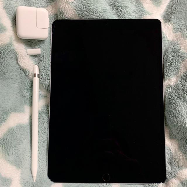 PC/タブレットiPad Pro 10.5inch 256GB Wi-fi Apple Pen付