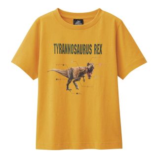 ジーユー(GU)のTシャツ(Tシャツ/カットソー)