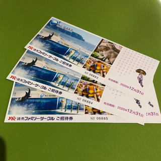新江ノ島水族館ご招待券　3枚セット(水族館)