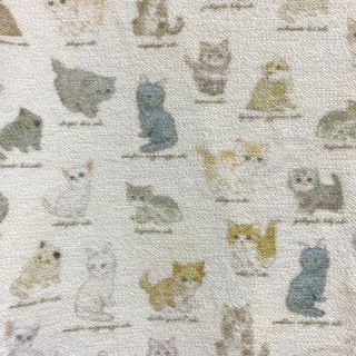 フランシュリッペ　うじゃねこジャケット