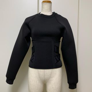 アレキサンダーワン(Alexander Wang)のAlexander Wang x H&M スウェット(トレーナー/スウェット)