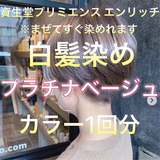 シセイドウ(SHISEIDO (資生堂))の美容室の白髪染め プラチナベージュ2セット+前処理剤1セット(白髪染め)