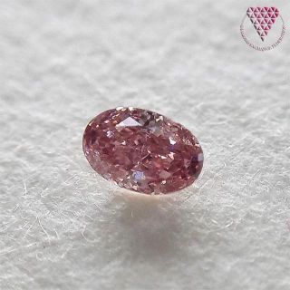 売約済 0.058 ct F.Int.Pink SI1 天然 ピンク ダイヤ(リング(指輪))