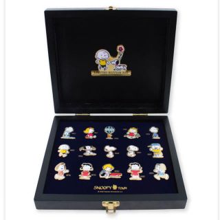 スヌーピー(SNOOPY)の新品 スヌーピータウン 70周年  ピンバッジBOXセット  (バッジ/ピンバッジ)