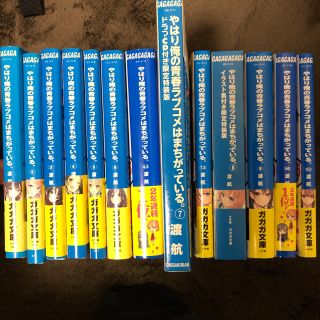 やはり俺の青春ラブコメはまちがっている(文学/小説)