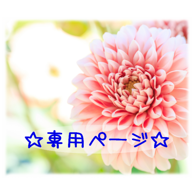 チョコページ