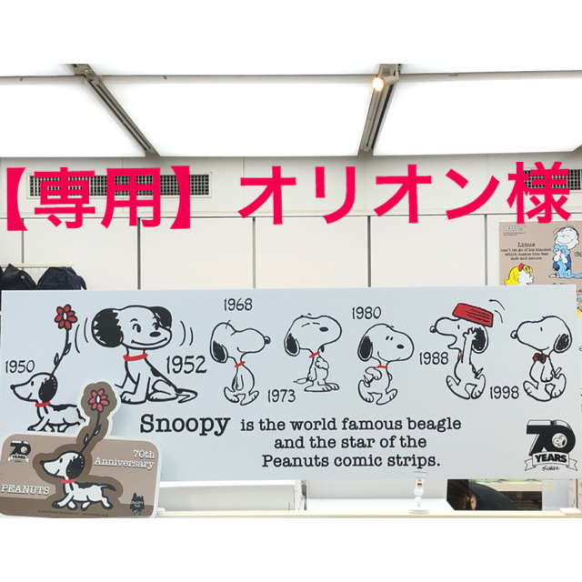 SNOOPY - 【専用】オリオン様☆スヌーピー ☆50年代柄 クイックドライ