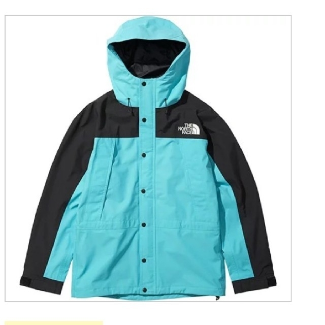 THE NORTH FACE MOUNTAIN LIGHT JACKET