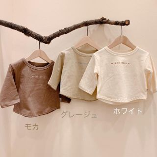 一部在庫一掃セール★新品未使用★トップス　ナチュラルカラー　三色(Ｔシャツ)