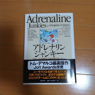 アドレナリンジャンキ－ プロジェクトの現在と未来を映す８６パタ－ン(コンピュータ/IT)