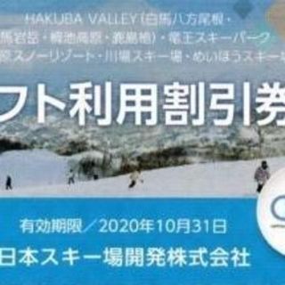 日本駐車場開発 株主優待 リフト割引券＆温泉割引チケット 2020/10/31　(その他)