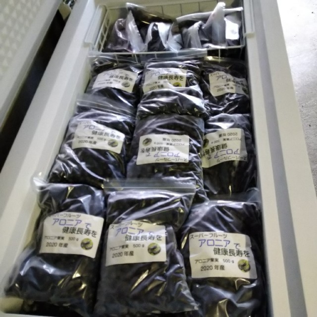 アロニア冷凍果実5kg