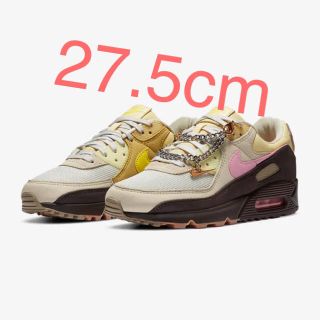 ナイキ(NIKE)の【海外限定】air max 90 w Velvet & brown & Pink(スニーカー)