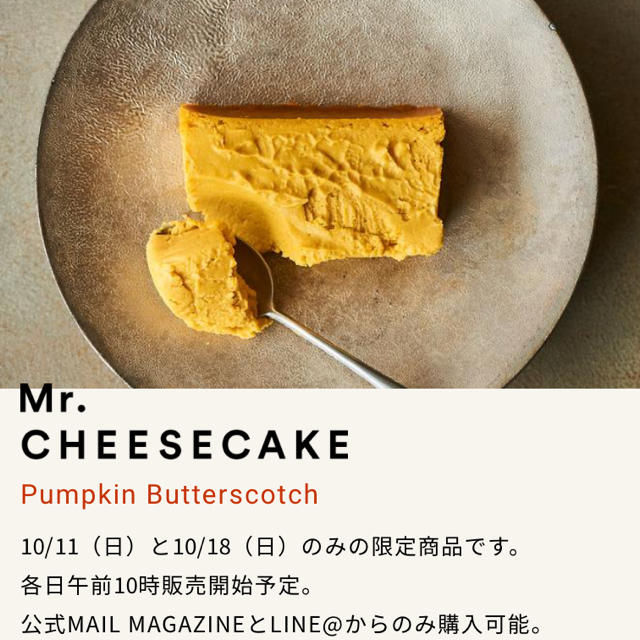 ミスターチーズケーキ　パンプキン菓子/デザート