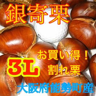 栗　銀寄栗(野菜)