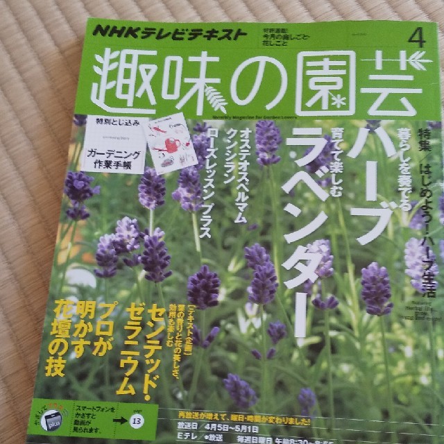 NHK 趣味の園芸 2015年 04月号 エンタメ/ホビーの雑誌(専門誌)の商品写真