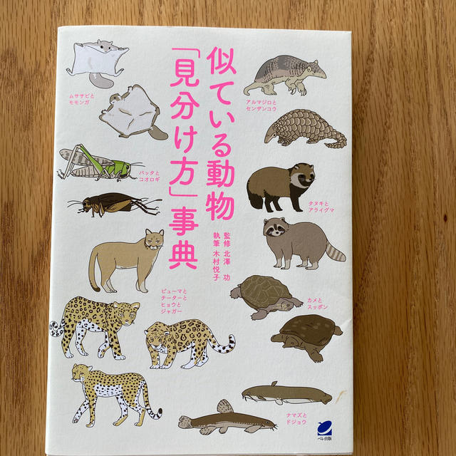 似ている動物「見分け方」事典 エンタメ/ホビーの本(科学/技術)の商品写真