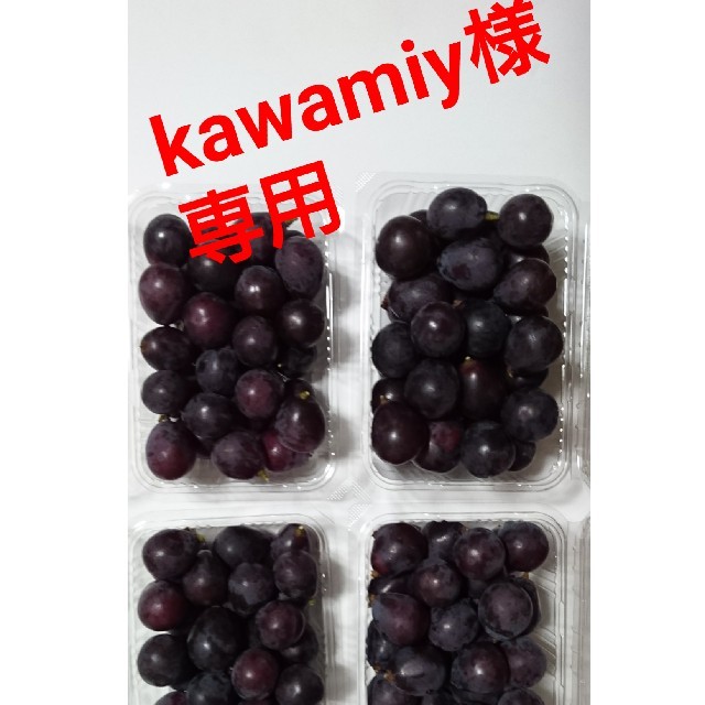 kawamiy様専用  ブドウ 朝取り紫玉 2k 食品/飲料/酒の食品(フルーツ)の商品写真