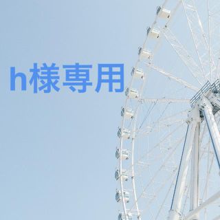 ボウダンショウネンダン(防弾少年団(BTS))のh様専用です(その他)