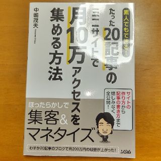 素人でもできる！たった２０記事のミニサイトで月１０万アクセスを集める方法(コンピュータ/IT)