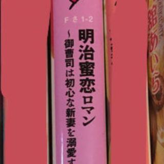 小説　バラ売り可　中古品【bb様専用】(文学/小説)