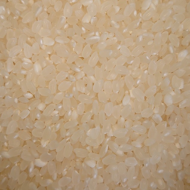 令和2年度産 新米 福岡のお米 ヒノヒカリ 玄米 10k 食品/飲料/酒の食品(米/穀物)の商品写真