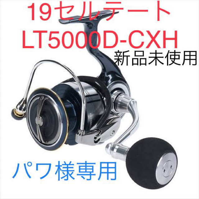 トップシークレット 【未使用】DAIWA 19セルテートLT5000-CXH