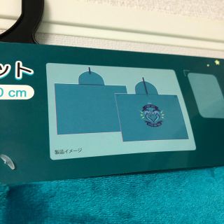 Disney - ディズニー リトルマーメイド フロットサム ジェットサム