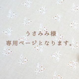 うさみみ様　専用ページとなります。(その他)