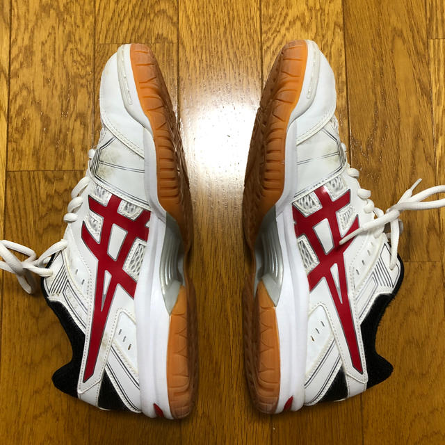 asics(アシックス)のasics / リブレ EX 7  TVR482 25.0cm スポーツ/アウトドアのスポーツ/アウトドア その他(バレーボール)の商品写真