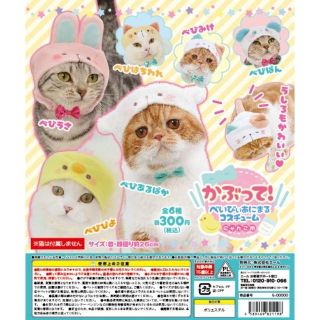 べびぴよ★かぶって！べいびぃあにまるコスチューム　新品★ドール　ぬいぐるみに(ぬいぐるみ)