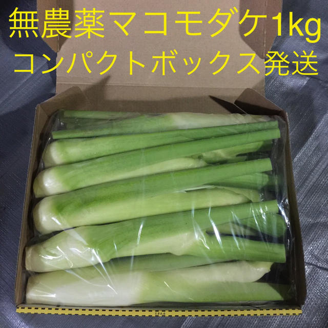 マコモダケ　れんげ's　無除草剤　無肥料の通販　1kg　shop｜ラクマ　無農薬　by