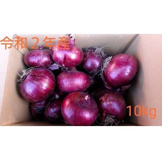 北海道産赤玉ねぎ10kg(野菜)