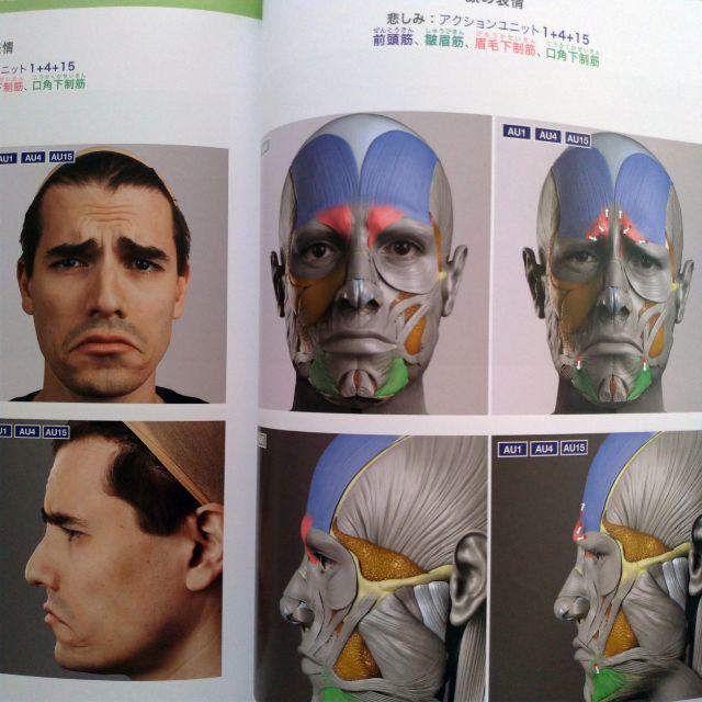 shihorisu様専用　２冊セット スカルプターのための美術解剖学、スカルプ