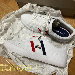 ラコステ(LACOSTE)のラコステ 試着のみ！23-23.5cm(スニーカー)