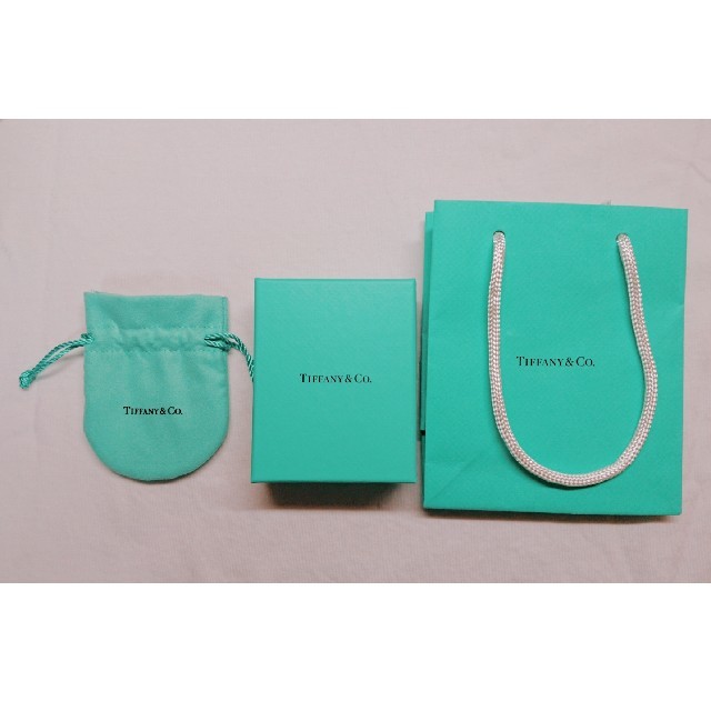 Tiffany & Co.(ティファニー)のTiffany ネックレス サークル シルバー レディースのアクセサリー(ネックレス)の商品写真