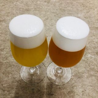 食品サンプルクラフトビール(ビール)